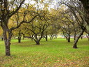 Файл=IMG_2456.JPG
Объём=3330KB
Размеры=2304x1736
Дата=Янв 08, 2012 IMG_2456.JPG