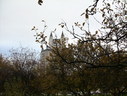 Файл=IMG_2457.JPG
Объём=2374KB
Размеры=2304x1736
Дата=Янв 08, 2012 IMG_2457.JPG