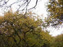 Файл=IMG_2458.JPG
Объём=2823KB
Размеры=2304x1736
Дата=Янв 08, 2012 IMG_2458.JPG