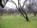 Файл=IMG_2511.JPG
Объём=2790KB
Размеры=2304x1736
Дата=Янв 08, 2012 IMG_2511.JPG