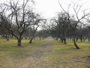 Файл=IMG_2924.JPG
Объём=2726KB
Размеры=2304x1736
Дата=Янв 08, 2012 IMG_2924.JPG