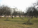 Файл=IMG_2926.JPG
Объём=2444KB
Размеры=2304x1736
Дата=Янв 08, 2012 IMG_2926.JPG