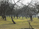 Файл=IMG_2927.JPG
Объём=2983KB
Размеры=2304x1736
Дата=Янв 08, 2012 IMG_2927.JPG