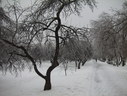 Файл=IMG_4986.JPG
Объём=2564KB
Размеры=2304x1736
Дата=Янв 08, 2012 IMG_4986.JPG