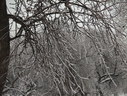 Файл=IMG_4987.JPG
Объём=3020KB
Размеры=2304x1736
Дата=Янв 08, 2012 IMG_4987.JPG