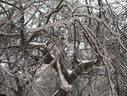 Файл=IMG_4989.JPG
Объём=3065KB
Размеры=2304x1736
Дата=Янв 08, 2012 IMG_4989.JPG