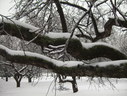 Файл=IMG_4990.JPG
Объём=2022KB
Размеры=2304x1736
Дата=Янв 08, 2012 IMG_4990.JPG