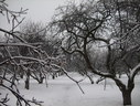 Файл=IMG_4991.JPG
Объём=2203KB
Размеры=2304x1736
Дата=Янв 08, 2012 IMG_4991.JPG