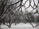 Файл=IMG_4992.JPG
Объём=2418KB
Размеры=2304x1736
Дата=Янв 08, 2012 IMG_4992.JPG