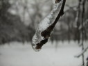 Файл=IMG_4993.JPG
Объём=1367KB
Размеры=2304x1736
Дата=Янв 08, 2012 IMG_4993.JPG
