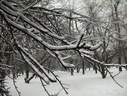 Файл=IMG_4994.JPG
Объём=2086KB
Размеры=2304x1736
Дата=Янв 08, 2012 IMG_4994.JPG
