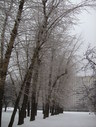 Файл=IMG_4995.JPG
Объём=2760KB
Размеры=1736x2304
Дата=Янв 08, 2012 IMG_4995.JPG