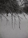 Файл=IMG_4996.JPG
Объём=1888KB
Размеры=1736x2304
Дата=Янв 08, 2012 IMG_4996.JPG