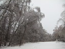 Файл=IMG_4998.JPG
Объём=2461KB
Размеры=2304x1736
Дата=Янв 08, 2012 IMG_4998.JPG