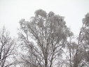 Файл=IMG_4999.JPG
Объём=2567KB
Размеры=2304x1736
Дата=Янв 08, 2012 IMG_4999.JPG