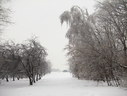 Файл=IMG_5000.JPG
Объём=2369KB
Размеры=2304x1736
Дата=Янв 08, 2012 IMG_5000.JPG