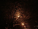 Файл=IMG_5146.JPG
Объём=2078KB
Размеры=2304x1736
Дата=Янв 08, 2012 IMG_5146.JPG