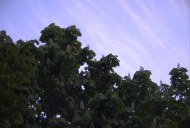 Файл=60003.JPG
Объём=57KB
Размеры=640x429
Дата=Апр 05, 2009 60003.JPG