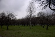 Файл=60011.JPG
Объём=66KB
Размеры=640x429
Дата=Апр 05, 2009 60011.JPG