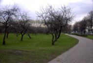 Файл=60024.JPG
Объём=73KB
Размеры=640x429
Дата=Апр 05, 2009 60024.JPG