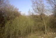Файл=60083.JPG
Объём=99KB
Размеры=640x429
Дата=Апр 05, 2009 60083.JPG