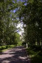 Файл=60096.JPG
Объём=102KB
Размеры=429x640
Дата=Апр 05, 2009 60096.JPG