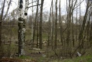 Файл=60101.JPG
Объём=103KB
Размеры=640x429
Дата=Апр 05, 2009 60101.JPG