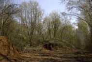 Файл=60104.JPG
Объём=103KB
Размеры=640x429
Дата=Апр 05, 2009 60104.JPG