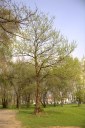 Файл=60120.JPG
Объём=108KB
Размеры=429x640
Дата=Апр 05, 2009 60120.JPG