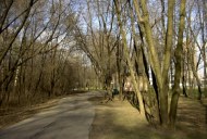 Файл=60122.JPG
Объём=108KB
Размеры=640x429
Дата=Апр 05, 2009 60122.JPG