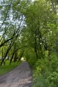 Файл=60161.JPG
Объём=121KB
Размеры=429x640
Дата=Апр 05, 2009 60161.JPG