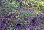 Файл=60163.JPG
Объём=122KB
Размеры=640x429
Дата=Апр 05, 2009 60163.JPG