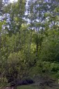 Файл=60173.JPG
Объём=123KB
Размеры=429x640
Дата=Апр 05, 2009 60173.JPG