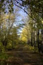 Файл=60179.JPG
Объём=128KB
Размеры=429x640
Дата=Апр 05, 2009 60179.JPG