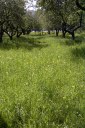 Файл=60183.JPG
Объём=132KB
Размеры=429x640
Дата=Апр 05, 2009 60183.JPG