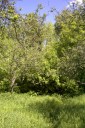 Файл=60185.JPG
Объём=135KB
Размеры=429x640
Дата=Апр 05, 2009 60185.JPG